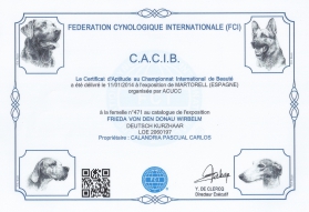 C.A.C.I.B Federación Cinológina Internacional, Martorell Enero 2014